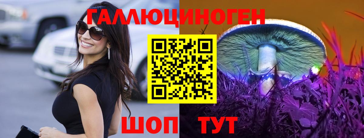Галлюциногенные грибы Psilocybe Красноуфимск